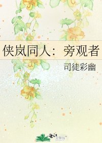 侠岚同人:旁观者