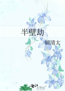《半壁劫》