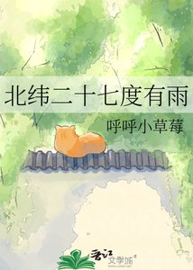 《北緯二十七度有雨》