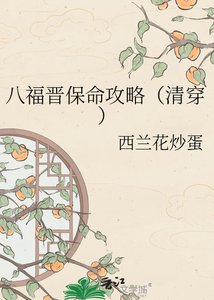 八福晋保命攻略(清穿)
