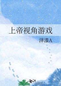 上帝视角游戏