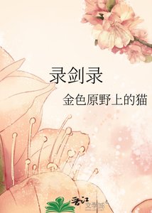 录剑录