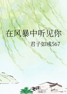《在风暴中听见你》