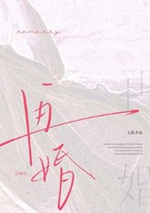再婚abo