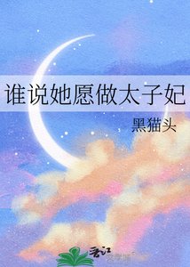 《誰説她願做太子妃》