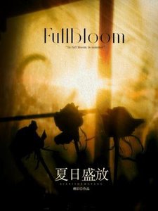 《夏日盛放》